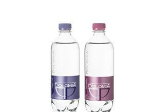 Bottle Water 0.5 l