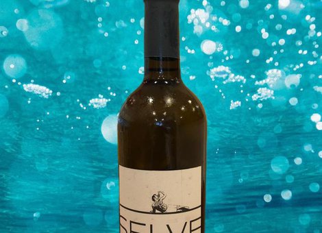 Flasche Wein Pinot Grigio "Le Selve"